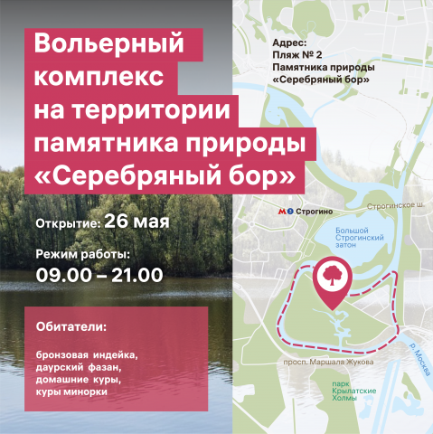 Пост в Telegram