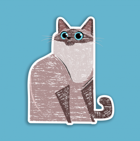 Котик