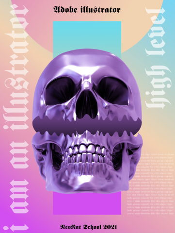 Adobe Illustrator