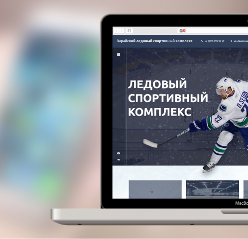 Зарайский ледовый спортивный комплекс