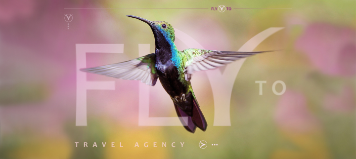 Дизайн сайта для туристического агентства