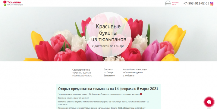 Тюльпаны