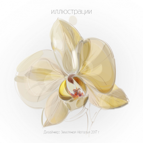 Орхидея