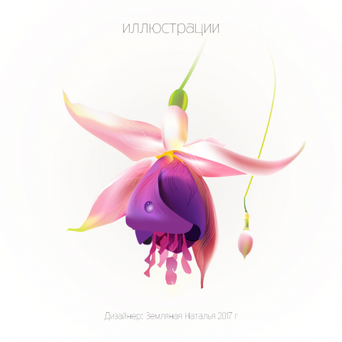 ФУКСИЯ