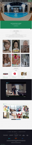 Добовление перевода на WP И правки темы ecospaekb.ru