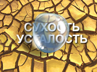 визин