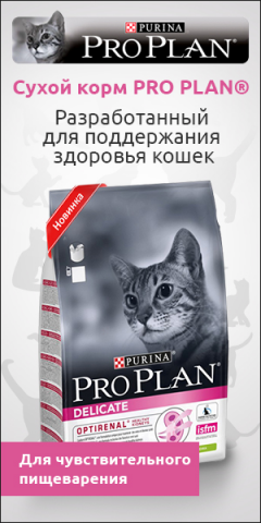 ProPlan_300_500