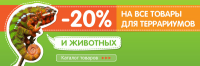 "Живая Вода_жаркий апрель"