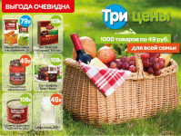 Листовка ТриЦены
