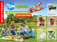Листовка ТриЦены