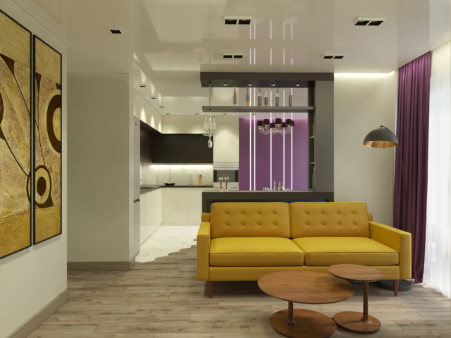 Living Room combined with Kitchen