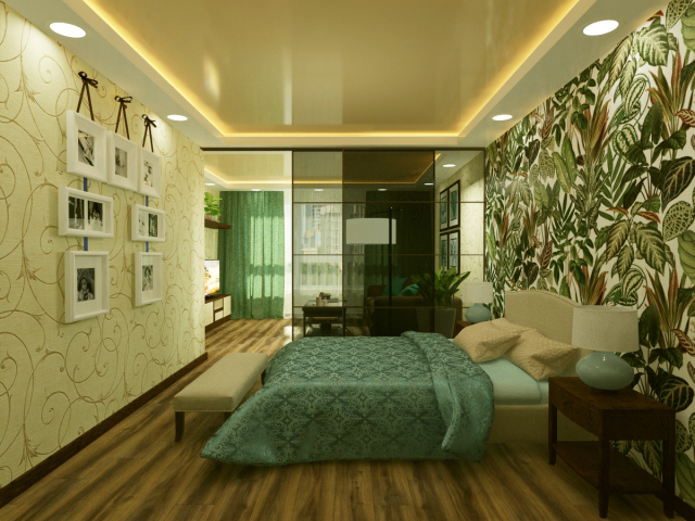 LivingRoom with Bedroom zone