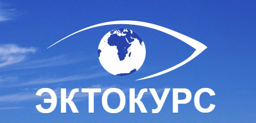 Лэндинг под ключ + логотип