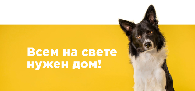 Всем на свете нужен дом