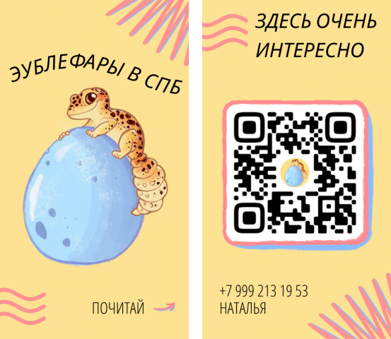 Эублефары в Санкт-Петербурге | Dragon FarmSPB