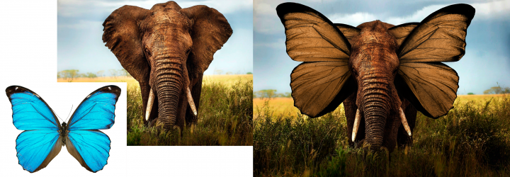 объединение изображений