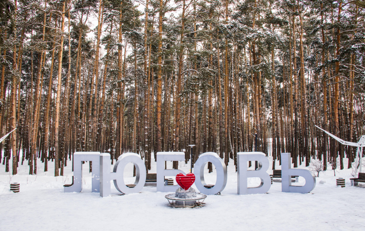 Реализация проекта Аллея Невест в Домодедово