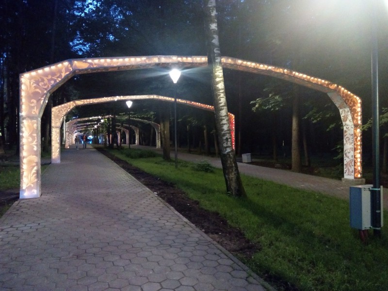 pic4246091.jpg