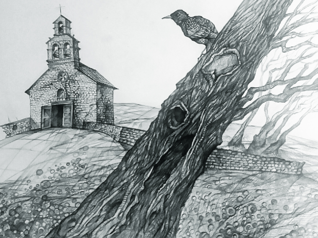 Работа 3568449