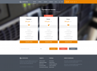 Дизайн Landing Page "Профессиональный хостинг"