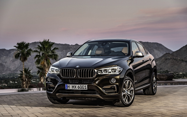 Автотовары для BMW X6 F16
