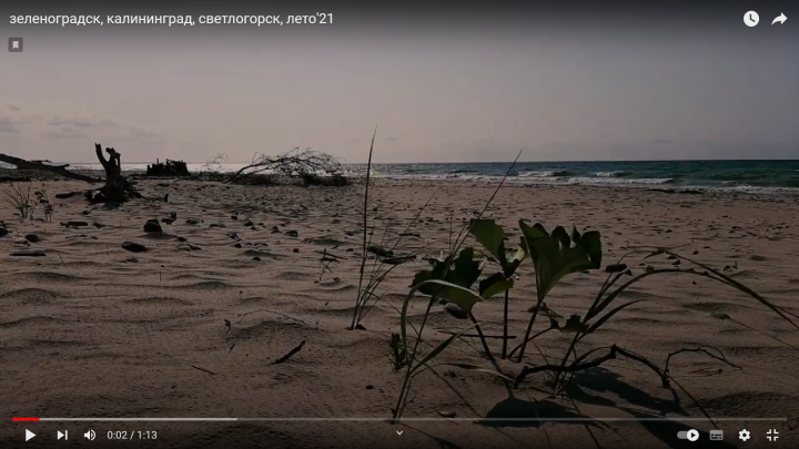 Видеоролик из Калининградской области