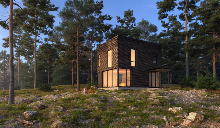 Forest house