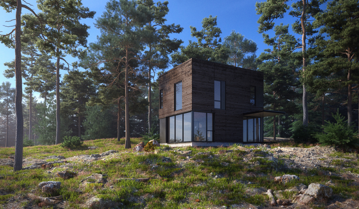 Forest_house_day