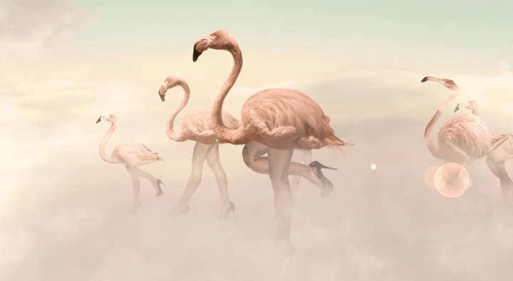 корпоративный  ролик