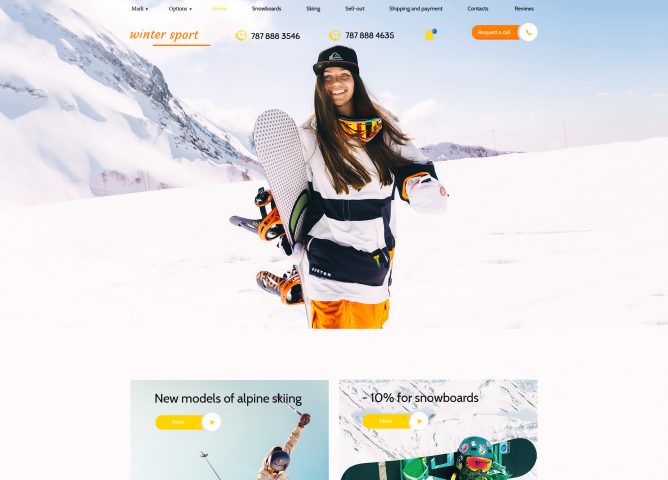 Интернет-магазин для копании-поставщика спортивного инвенаря