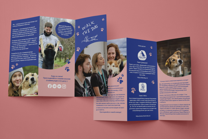 Евробуклет для волонтерской организации