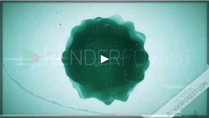 Музыкальная дорожка для проекта показа мод. (Или что-то вроде это)