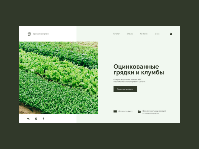 Дизайн для сайта по продаже грядок