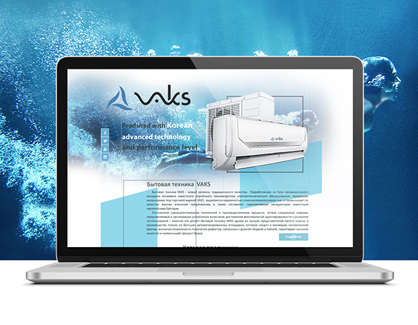 Website and branding_www.vaks.net_2
