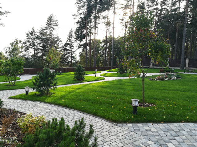 Ландшафт в "Морских террасах" 2016-2017г.