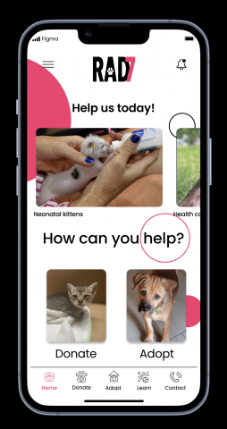 Мобильное приложение для организации по спасению уличных животны