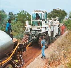 pic1294414.jpg