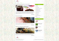 Дизайн сайта Народные средства