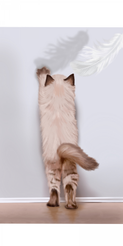 Котёнок и перо