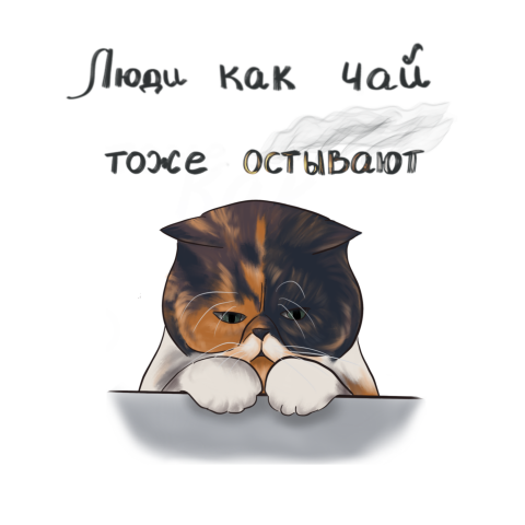Кот