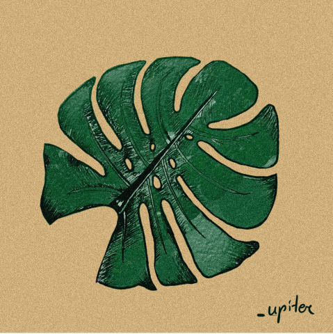 Иллюстрация "Fern"