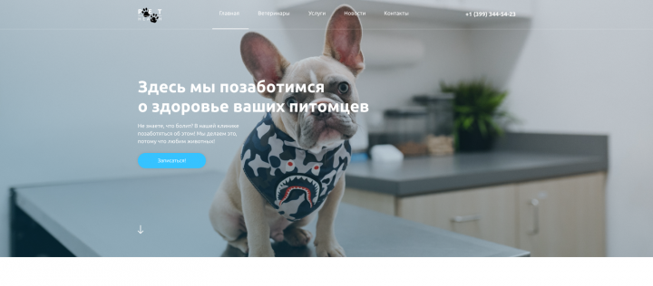 Лендинг ветеринарного центра