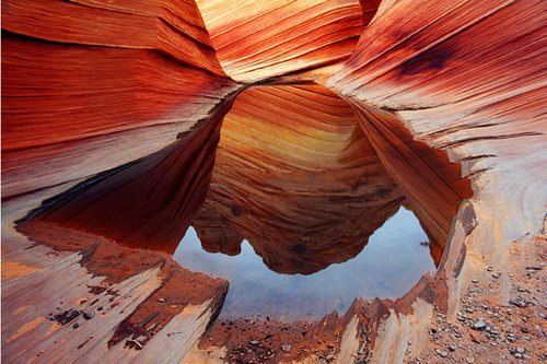 Каньон Paria or The Wave (Волна), штат Аризона, США.