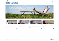 Индивидуальный заказ nbmarketing.eu (пример)