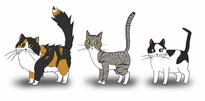 Мои коты