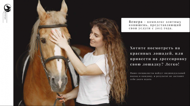 Конюшня ( Работа для портфолио)