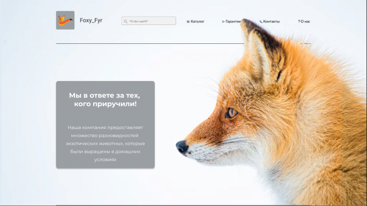 Зоомагазин (Работа создавалась для портфолио)