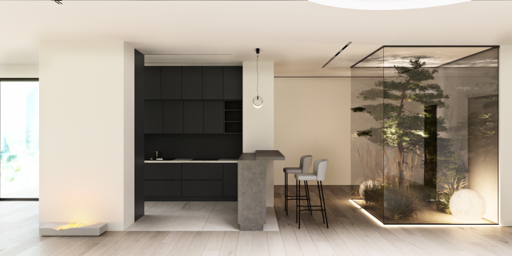 PENTHOUSE BASIC