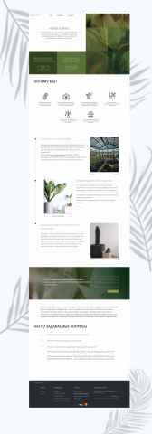 landing Home Plants