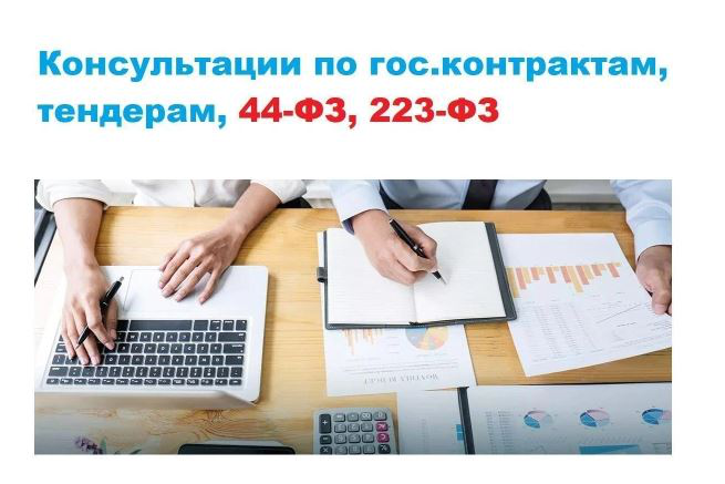 Консультации по гос. контрактам, тендерам, 44-ФЗ, 223-ФЗ